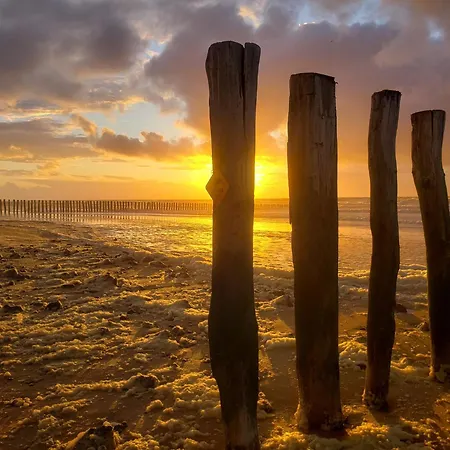 Le Grand Messin - Nord -cour - - Ferry - Eurotunnel
